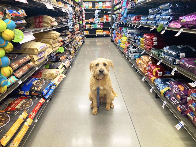  Pet, Farm and Feed store in Santa Cruz- New Price