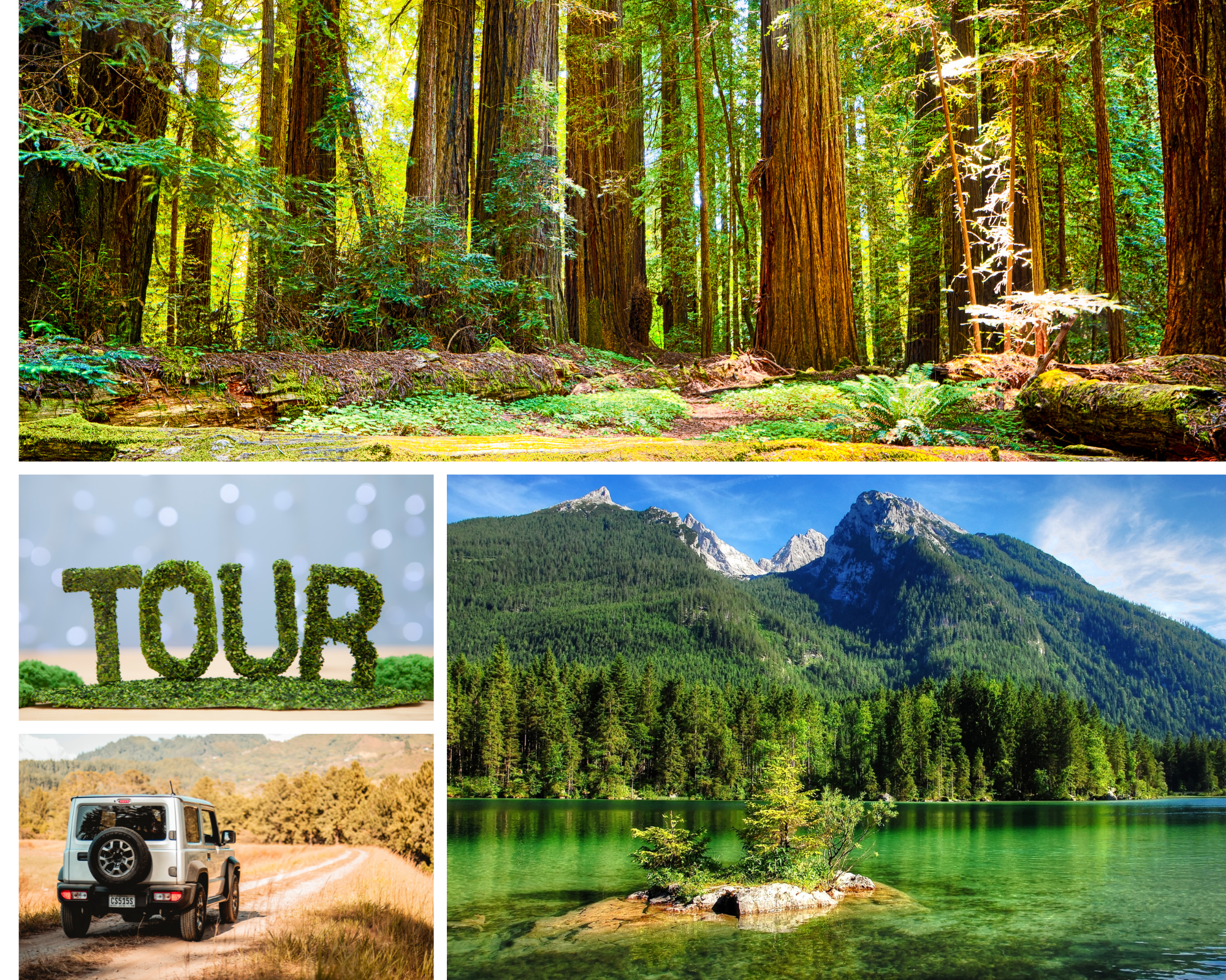 Home Run National Park Tours