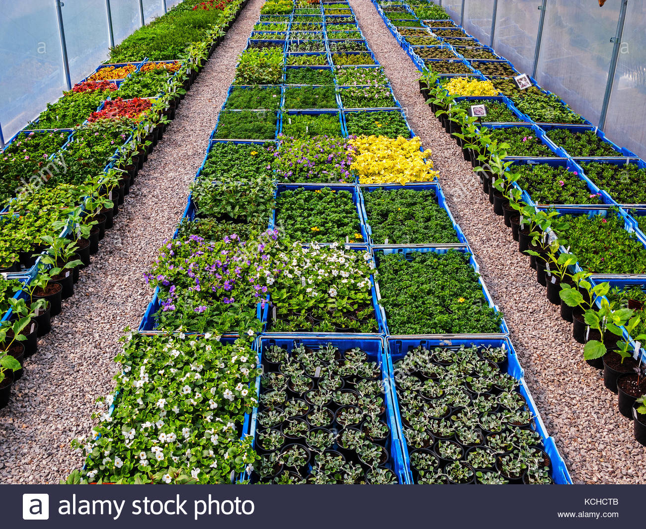 18.5 acre nursery & landscape design contractor 