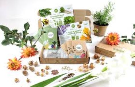 Popular, profitable growers supply center